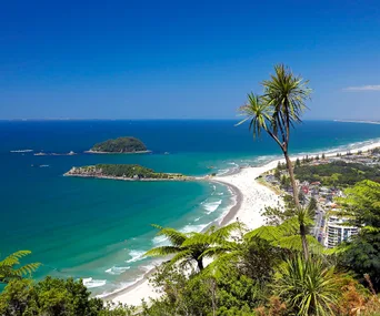 Summer sojourns in New Zealand