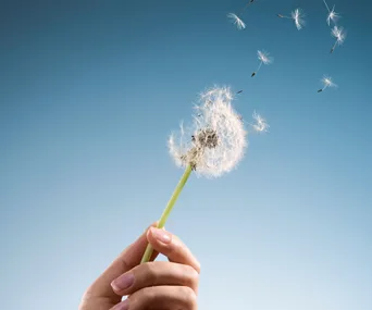 Allergy relief