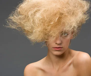 Frizz busters