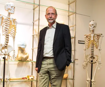 The skinny on bones
