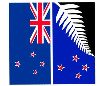 Is the flag referendum worth it?