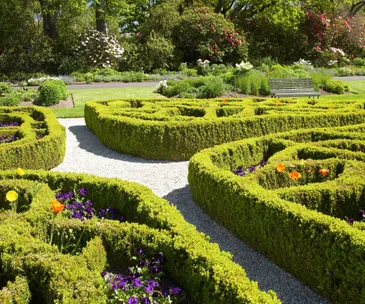 Up the garden path