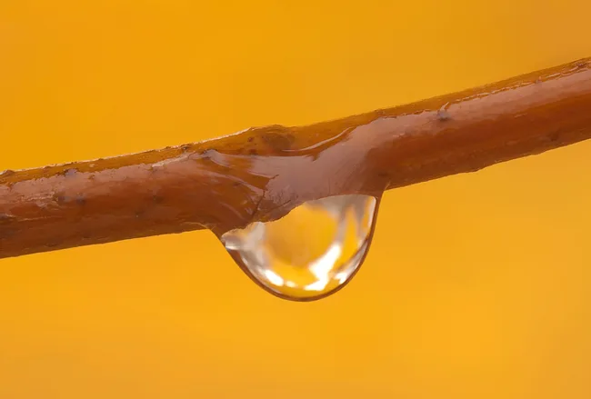 A drop of water hangs from a thin brown twig against a bright orange background.