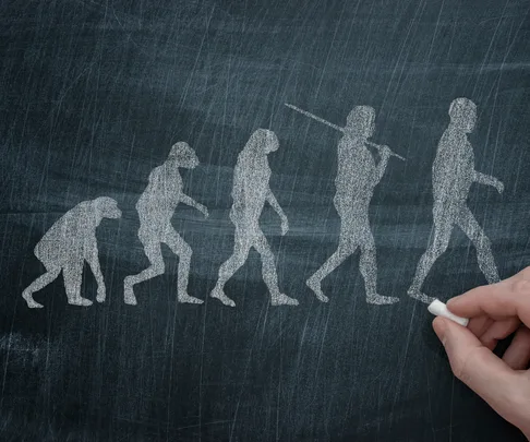 Evolution