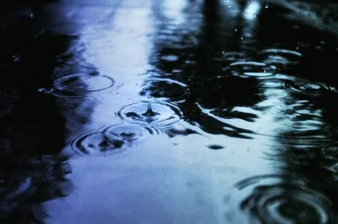 Wellington Floods