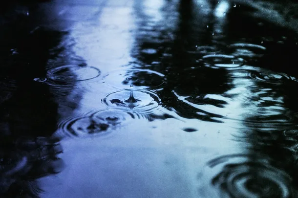 Wellington Floods