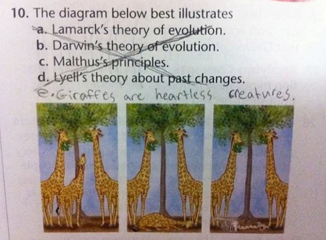 Multiple-choice question on evolution theories with hand-written addition 'Giraffes are heartless creatures.'