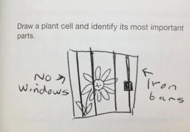 Drawing of a flower in a jail cell labeled "No windows" and "Iron bars," humorously misinterpreting a "plant cell."