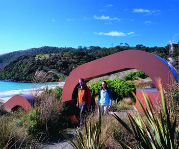 Hunting for a New Zealand icon on Stewart Island