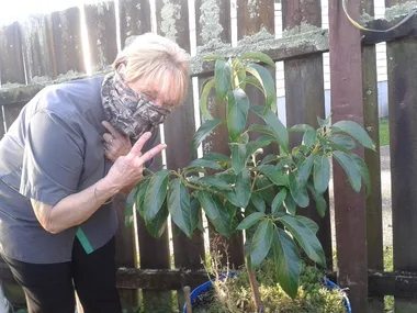Grandma with avocado tree