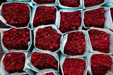 Rose bouquet