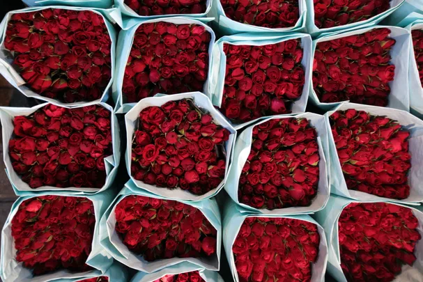 Rose bouquet