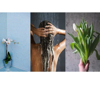 Uses for mouthwash