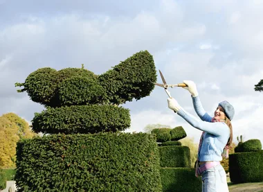 How to make a formal garden