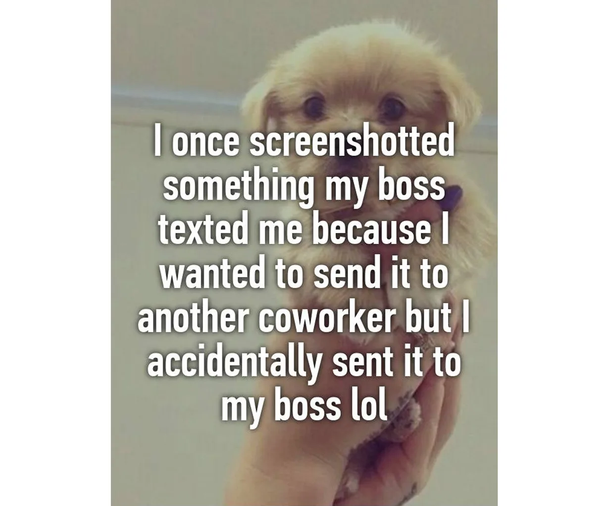 When you accidentally text your boss