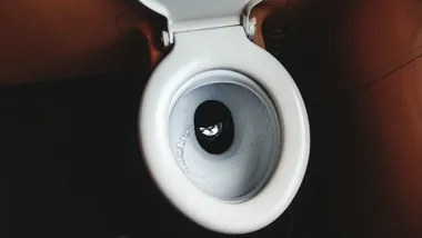 Toilet seat
