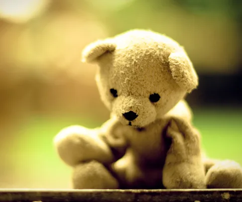 Seven-year-old boy sells his stuffed toy for food