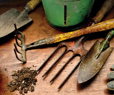 This nifty trick easily removes rust
