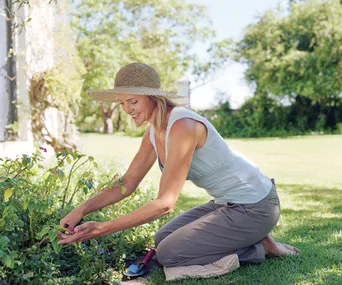 Easy garden upkeep tips