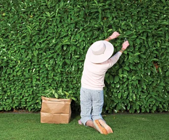 How gardening can help you workout