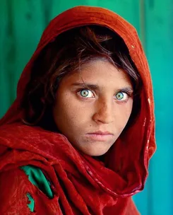 Sharbat Gula