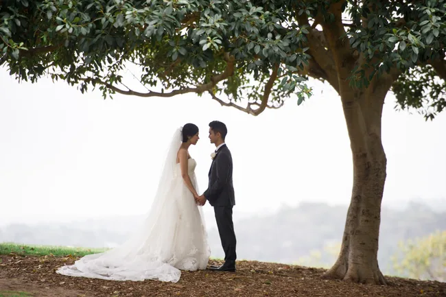 Bride and groom standing under a large tree, holding hands and gazing at each other.