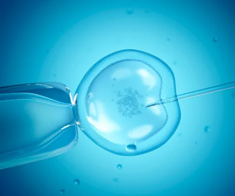 IVF breakthrough