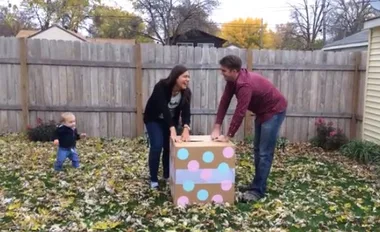 Gender baby reveal goes wrong