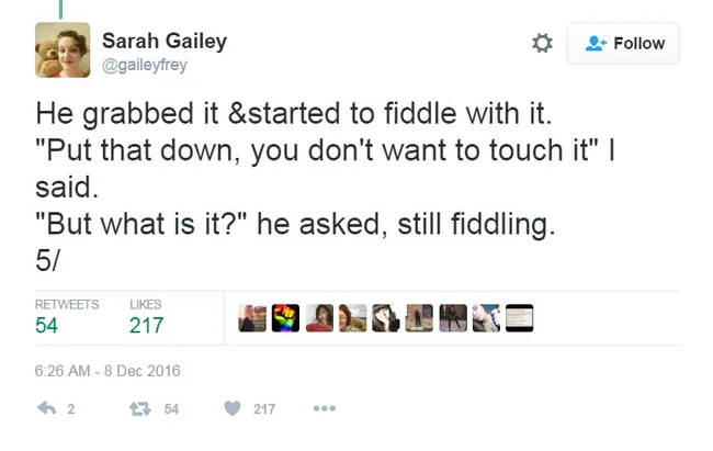 Tweet by Sarah Gailey describing an intriguing interaction about an unknown object, dated December 8, 2016.
