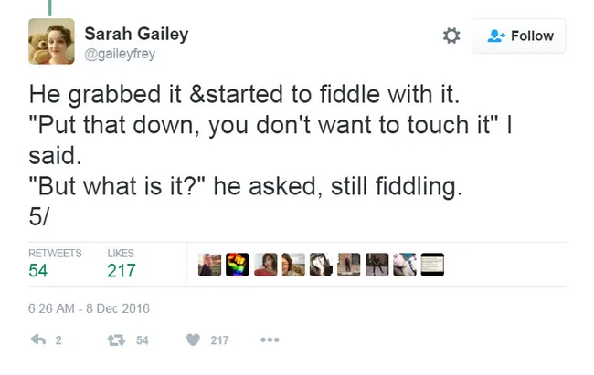 Tweet by Sarah Gailey describing an intriguing interaction about an unknown object, dated December 8, 2016.