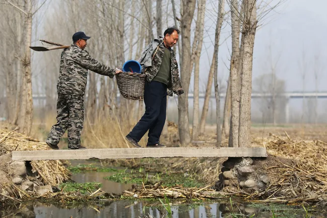 Two men in camouflage clothing carry a basket across a narrow bridge in a wooded area.