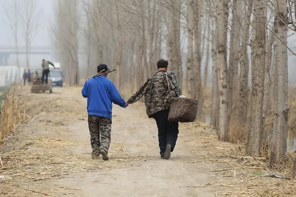 Chinese men plant trees