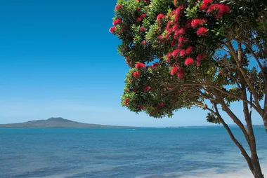 Best thing about Kiwi Christmas