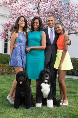 The White House
