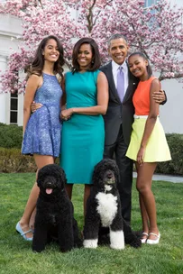 The White House