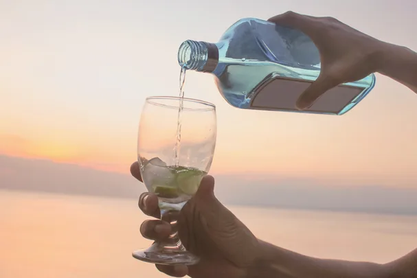 gin and tonic