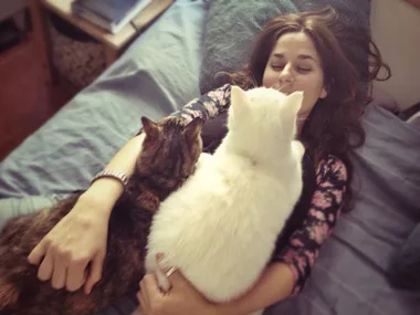cats and pms