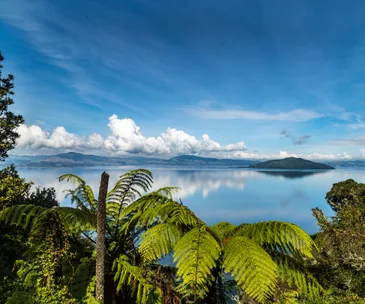 Exploring Rotorua’s breath-taking beauty