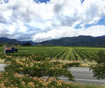 Weekly Travel: 48 hours in Blenheim