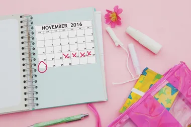 Menstrual cycle