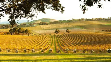 Yarra Valley 