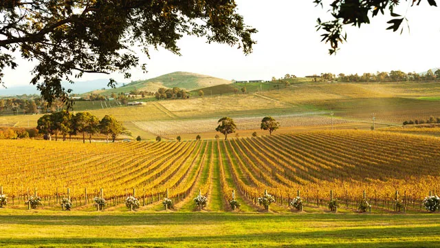 Yarra Valley
