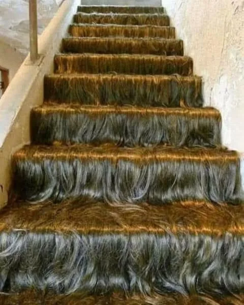 A staircase covered in hair