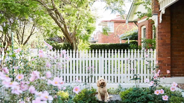 12 small garden design ideas that maximise space and greenery