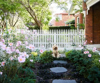 A front garden with stepping stones, flower and a dog