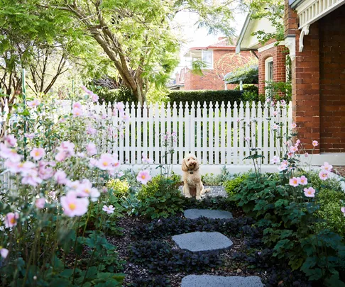 12 small garden design ideas that maximise space and greenery