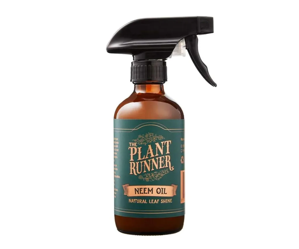 plant-runner-neem-oil