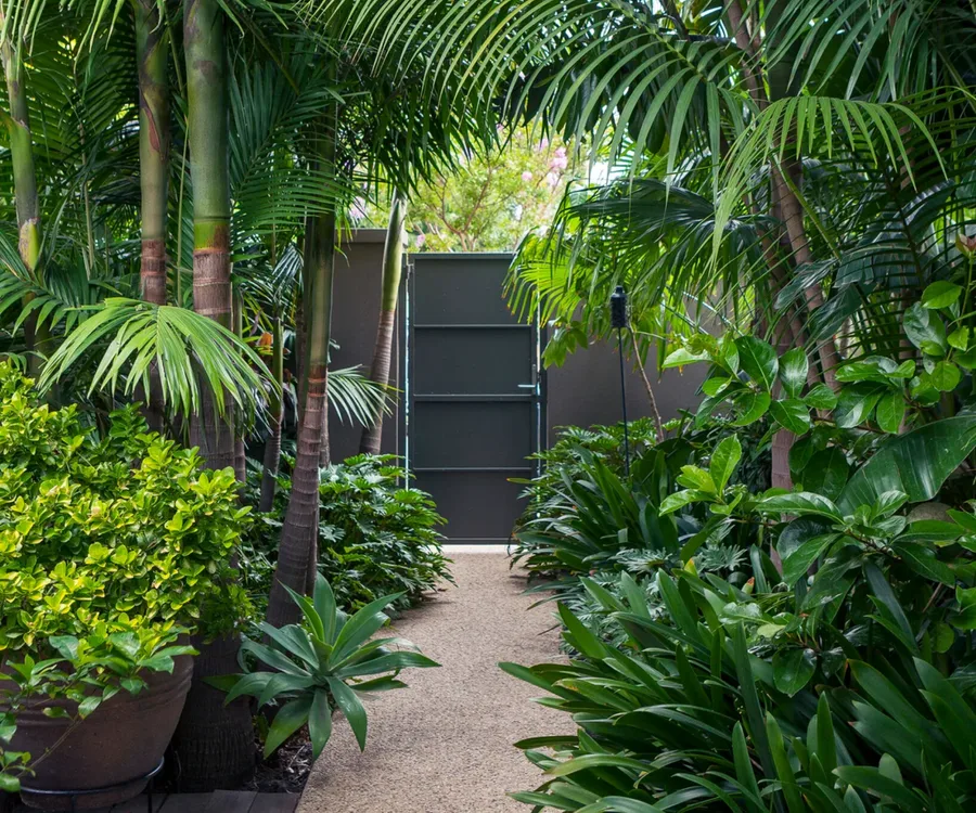A tropical garden with ferns, palm trees and other lush plants