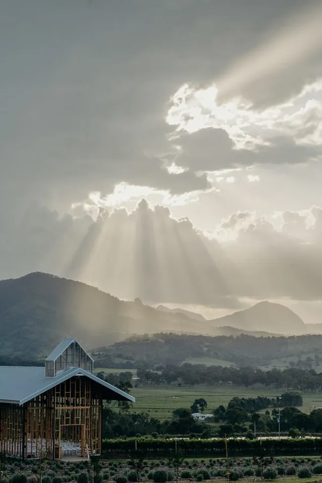 Kooroomba Vineyard and Lavender Farm