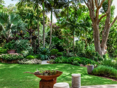 A shady garden with trees and green shrubs